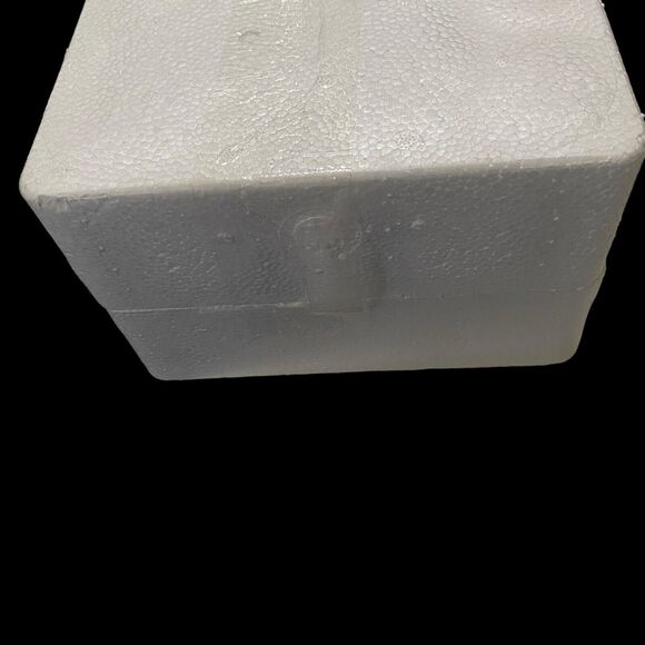 Noah’s Ark White Porcelain Bisque Accent Night Light JCPenney Home Collection - Picture 12 of 16